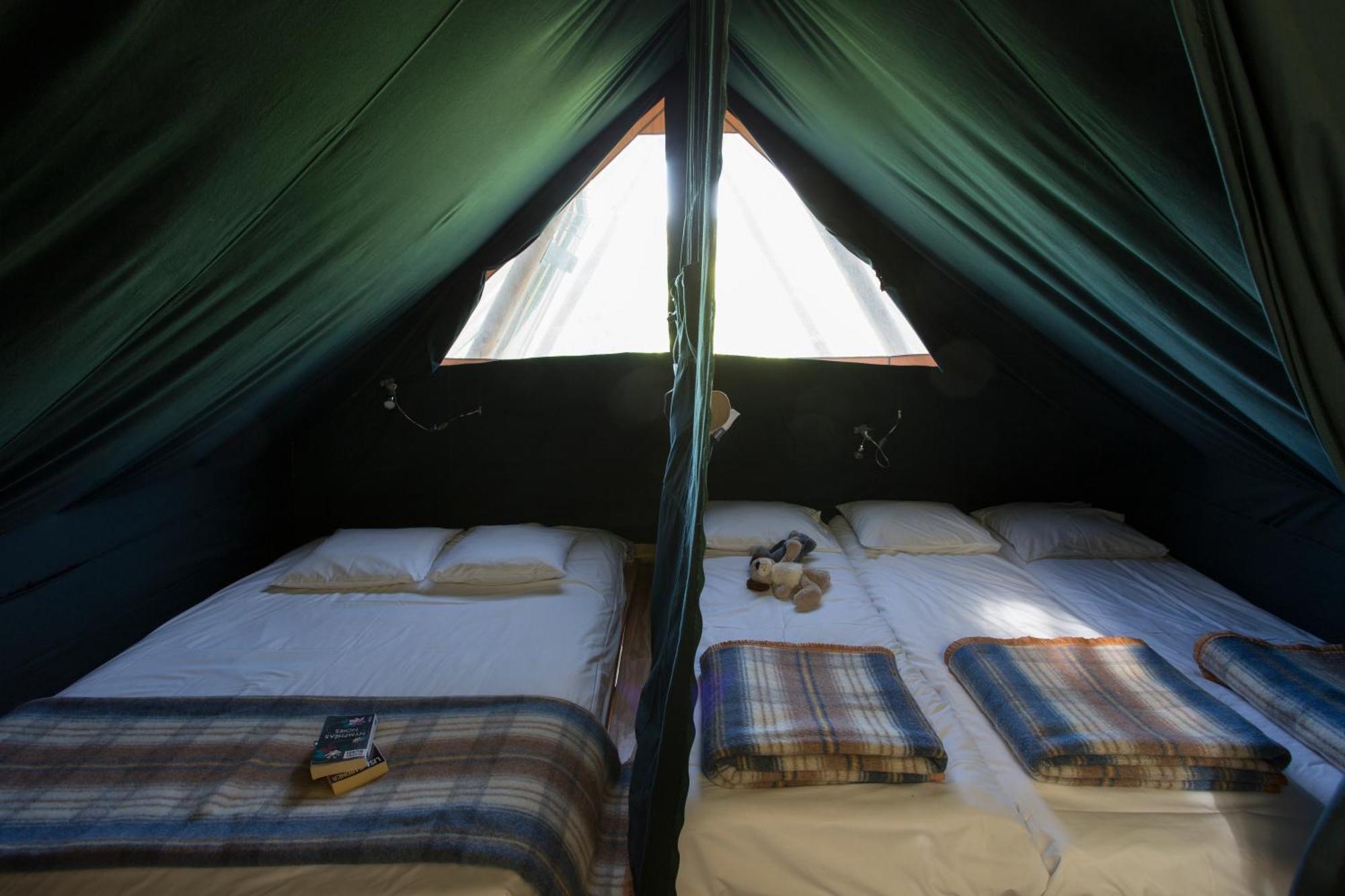 Huttopia Pays De Cordes Sur Ciel アルビ 部屋 写真